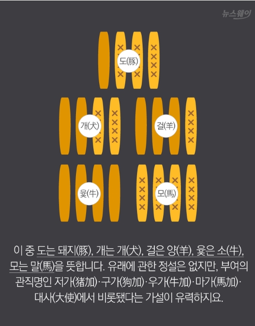 백도 규칙에 대한 설명 이미지