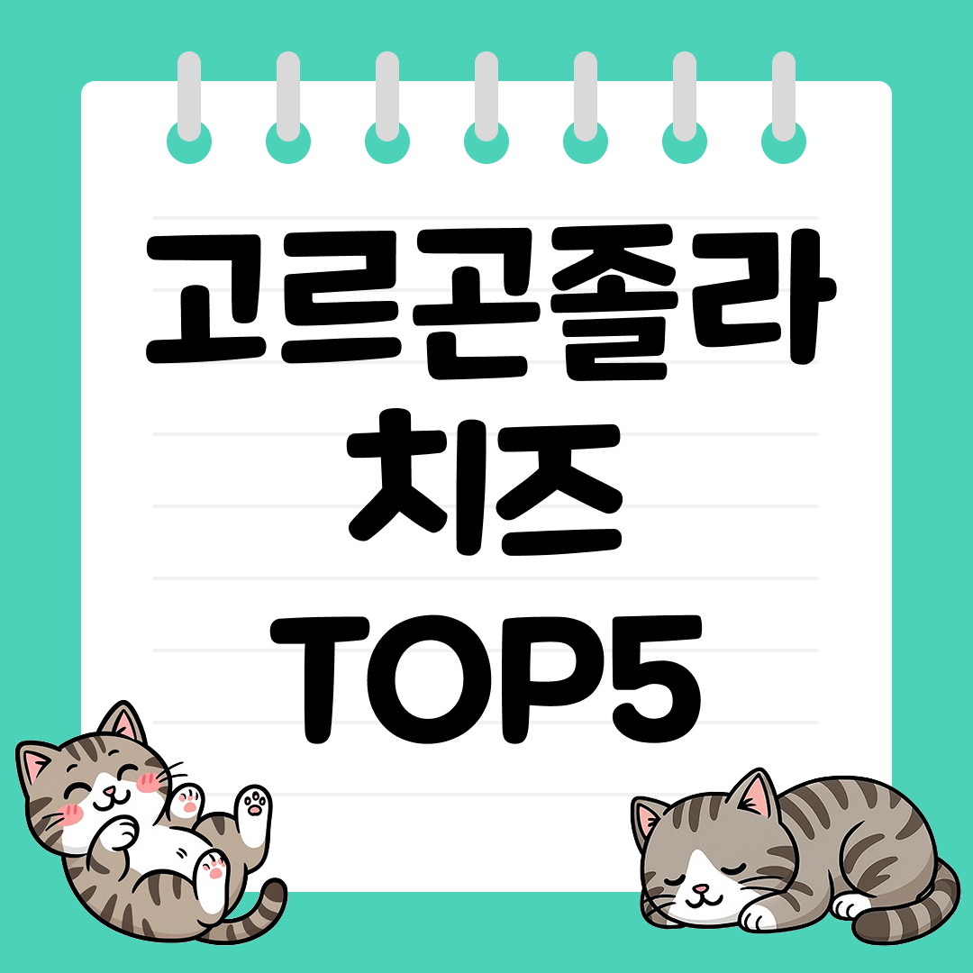 깊은 풍미가 매력적인 고르곤졸라 치즈 추천 순위 TOP