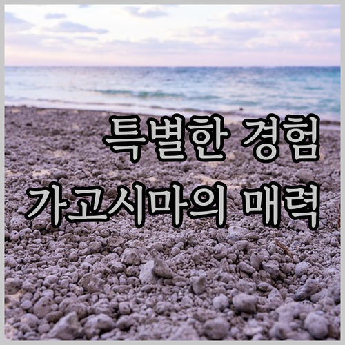 렘 가고시마에서의 특별한 경험은 어떤
