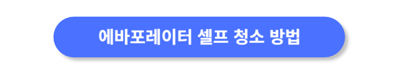버튼