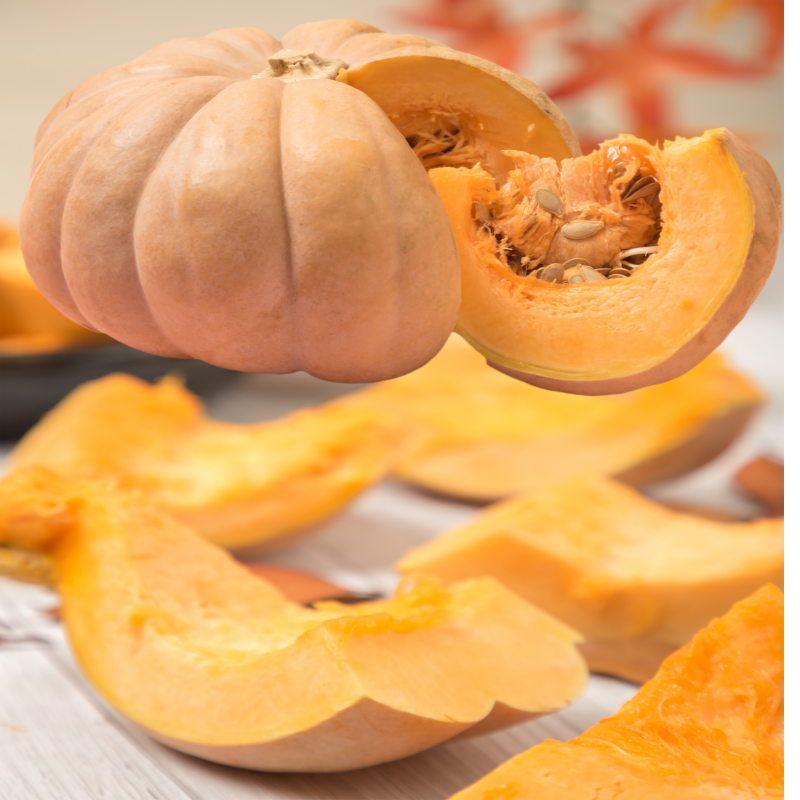 늙은 호박 효능 보관법 말려서 보관하기