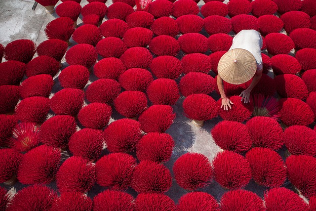 자연의 팔레트, 달랏 꽃 축제의 매혹