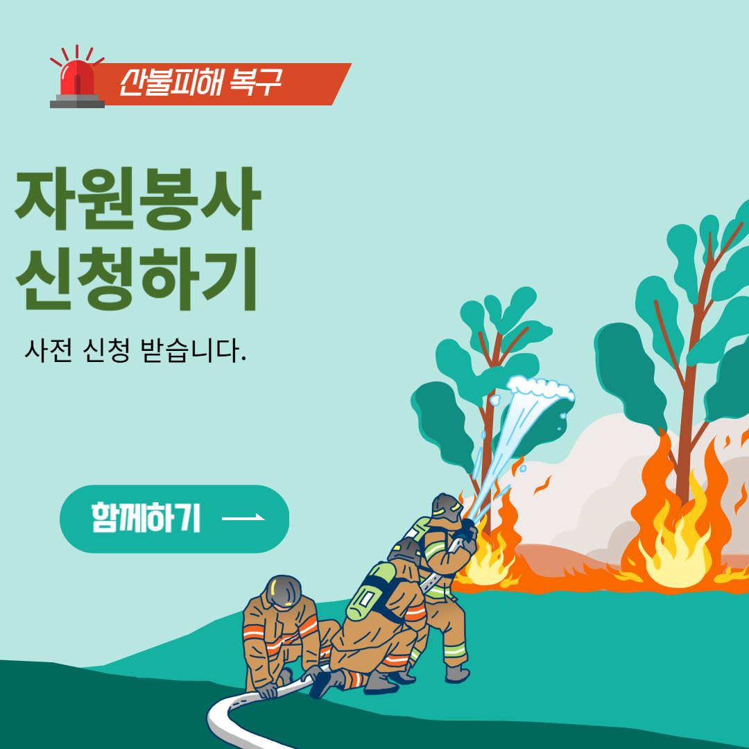 산불 피해 복구