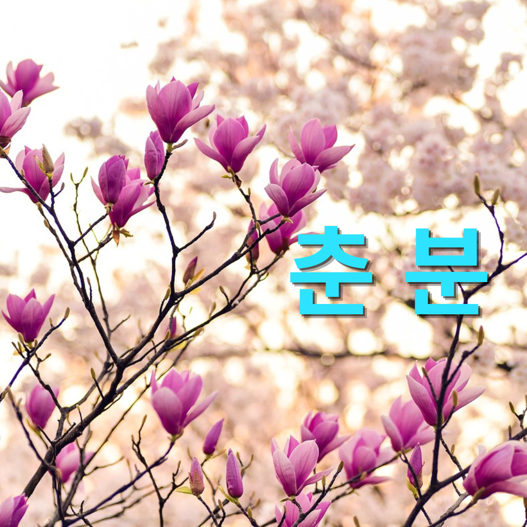춘분