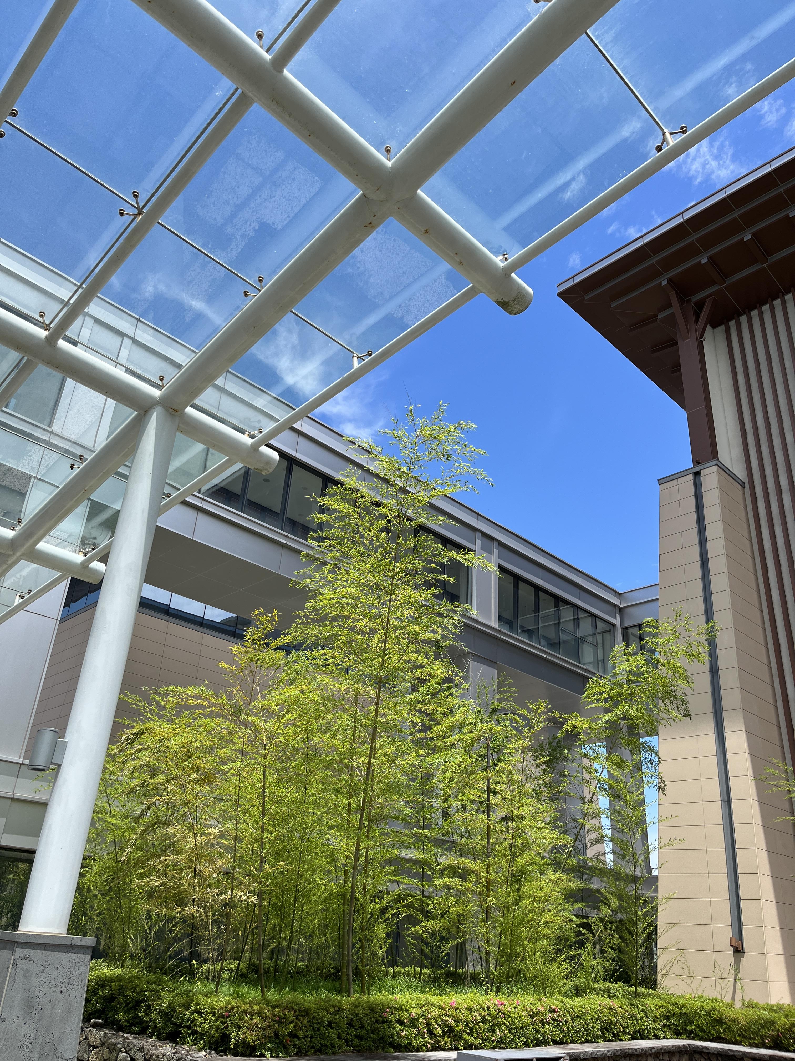 제주 신화월드 메리어트관