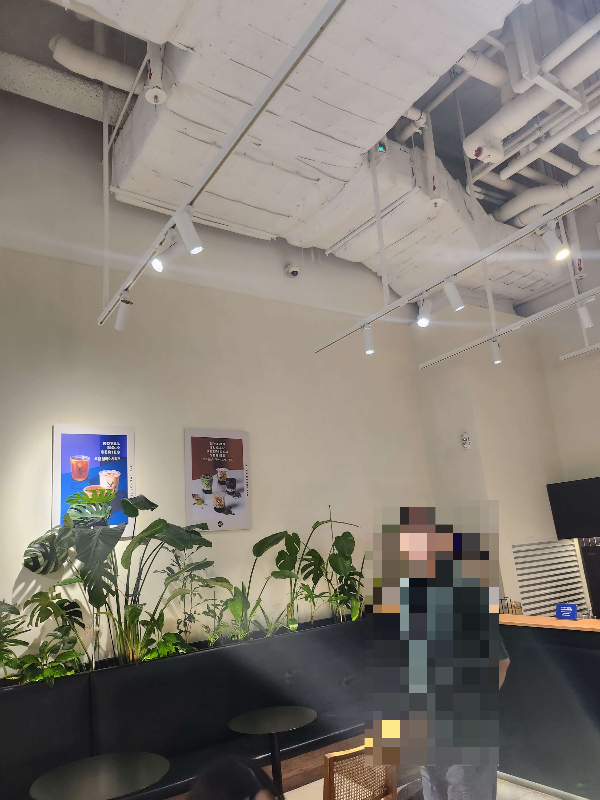 더앨리스타필드