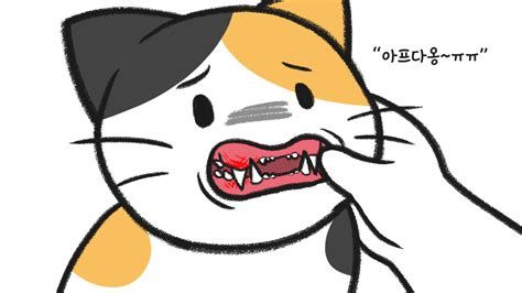 고양이 구내염