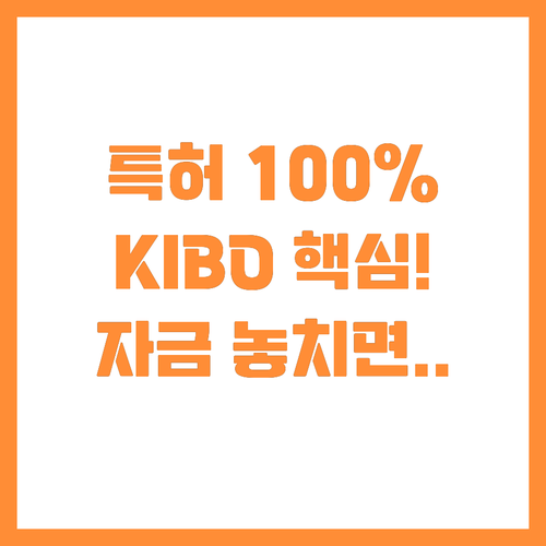 특허 가치 100% 인정 KIBO 보..