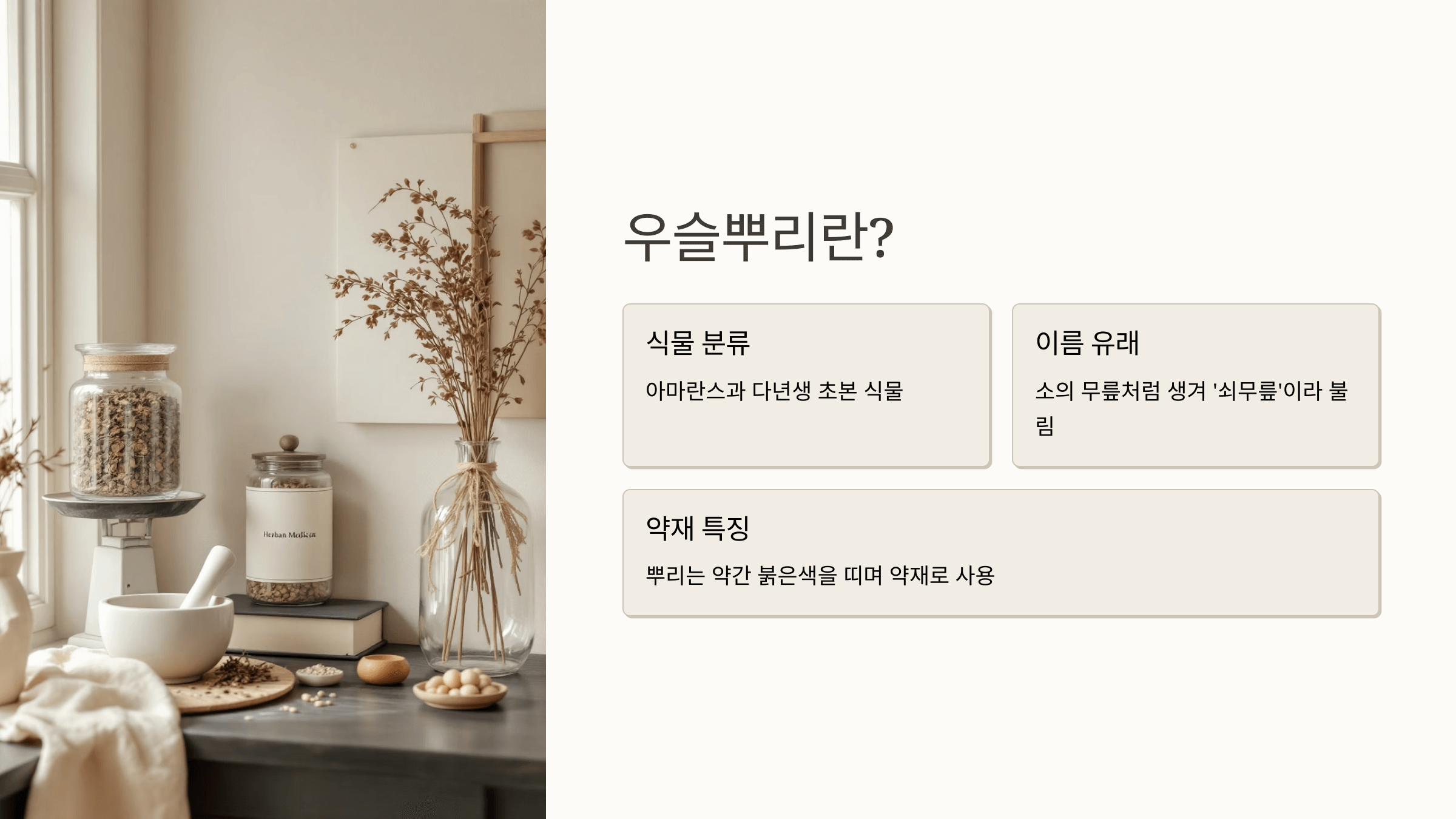우슬뿌리 사진입니다.
