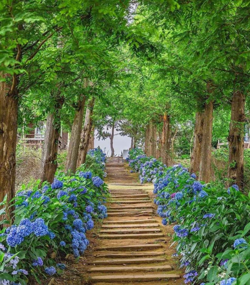 태안 가볼만한곳 베스트10