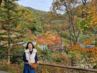 화담숲 예약하기 예약 방법 입장료 모노레일_13