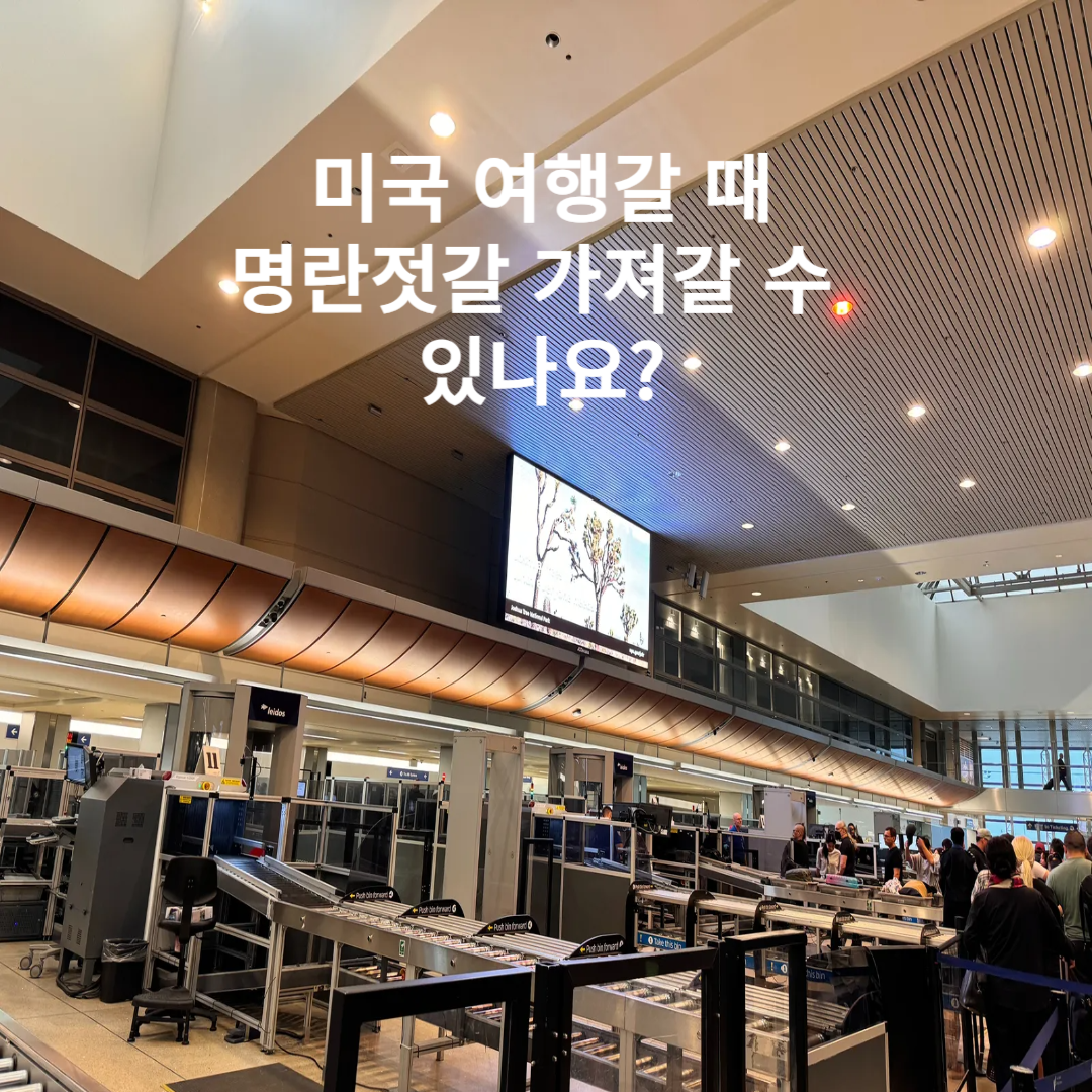 미국여행 짐싸기 수하물에 넣을수 없는것