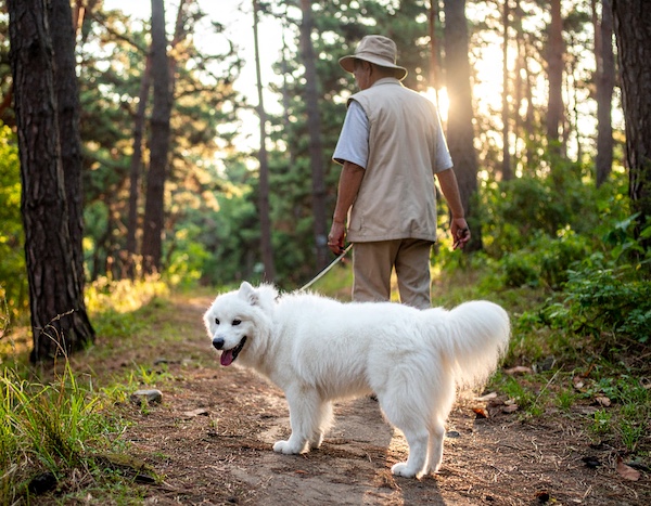 검마산자연휴양림을 방문한 여행객들 모습