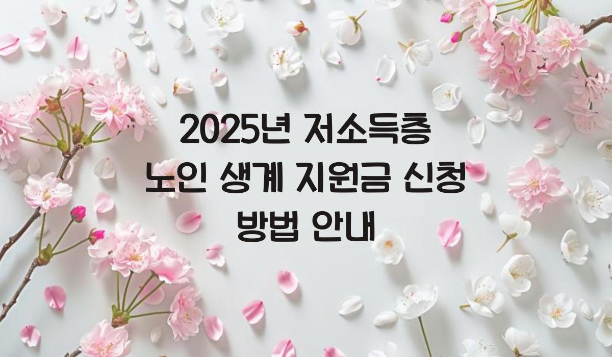 저소득층 노인 생계 지원금 신청