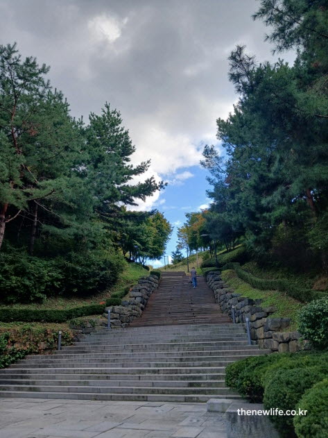 서울 단풍명소 남산공원 계단길 단풍 풍경