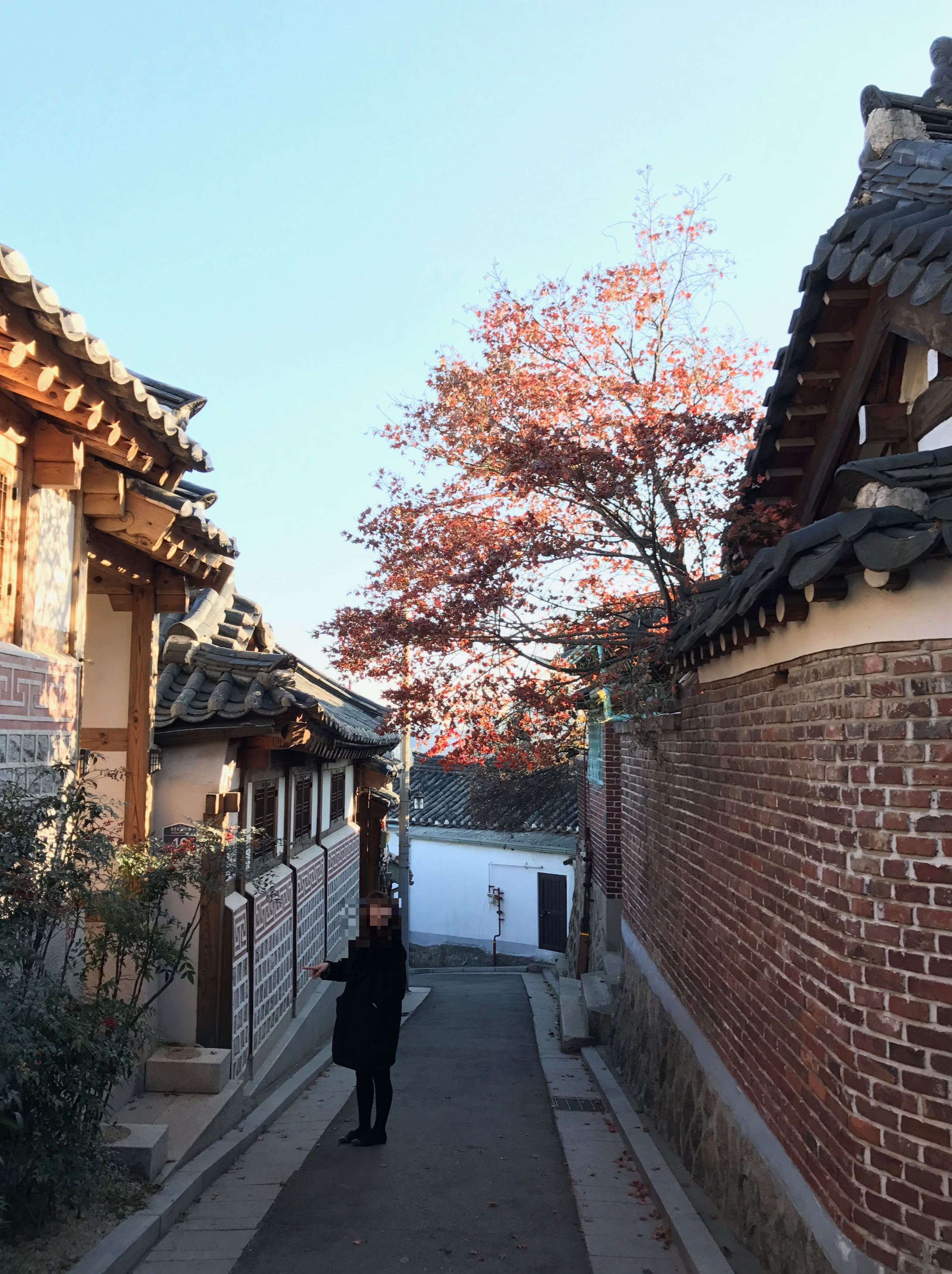 가을에 꼭 가봐야 할 곳