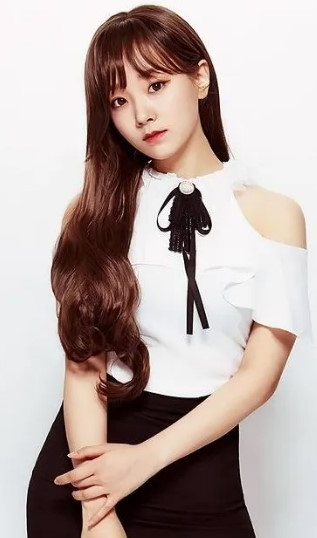 파이 나이 학력 프로필