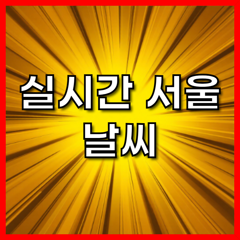 실시간 서울 날씨 완벽 가이드: 오늘, 내일, 주간, 월간 예보 총정리 (2025년 최신)