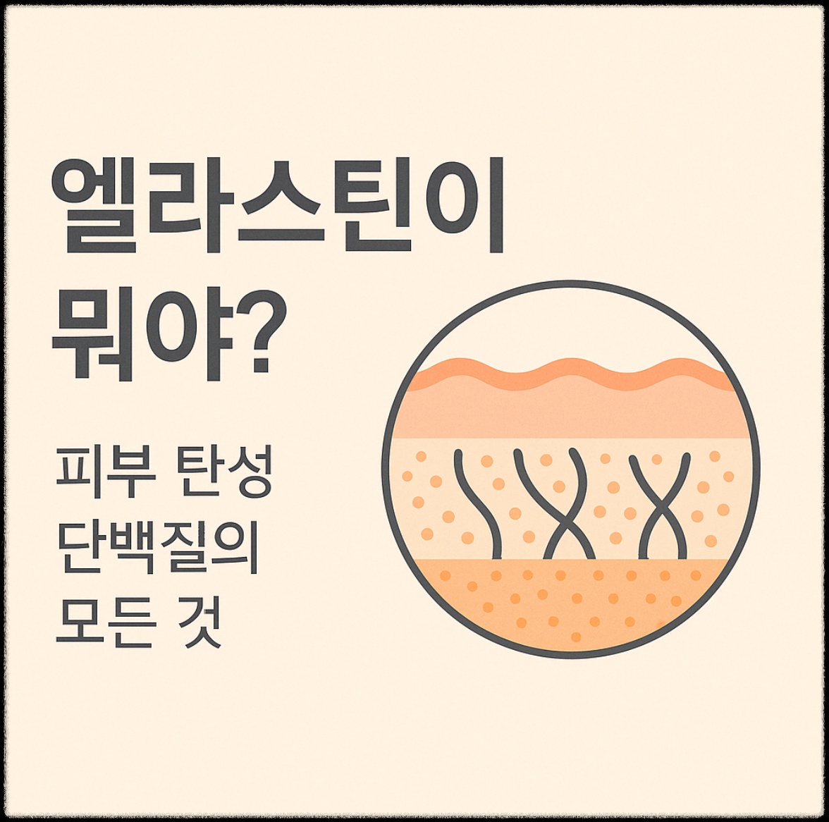 “진짜 탄력은 엘라스틴에서 시작돼요”