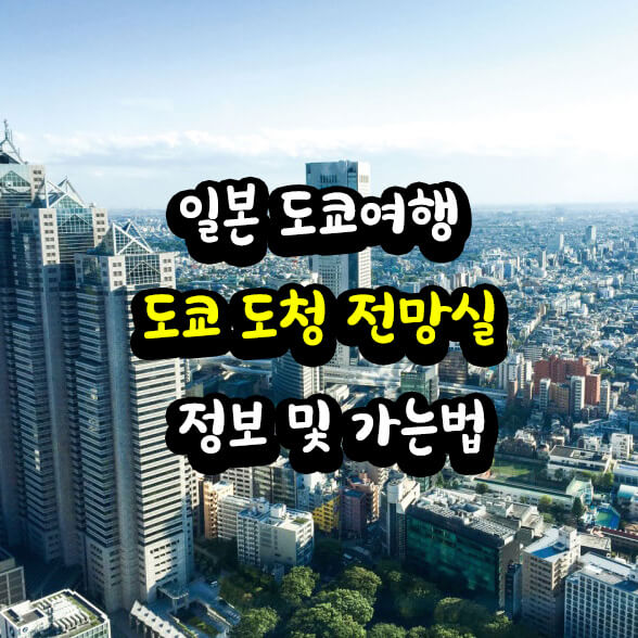 도쿄 도청 전망대 이미지