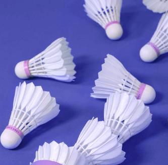 파리올림픽 종목