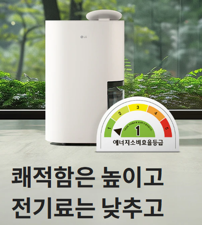 LG 휘센 오브제컬렉션 제습기 DQ214MEGA