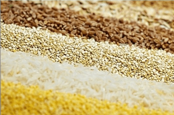 섬유질이 풍부한 통곡물