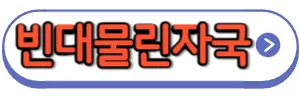 빈대