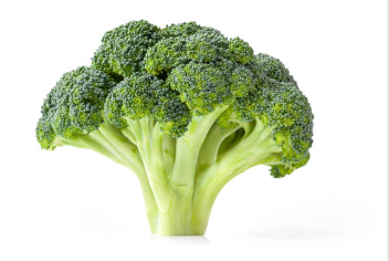 브로콜리