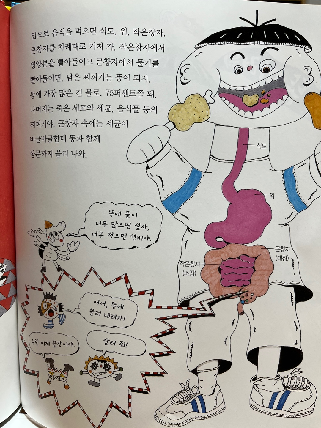 과학그림책 추천, 똥 이야기