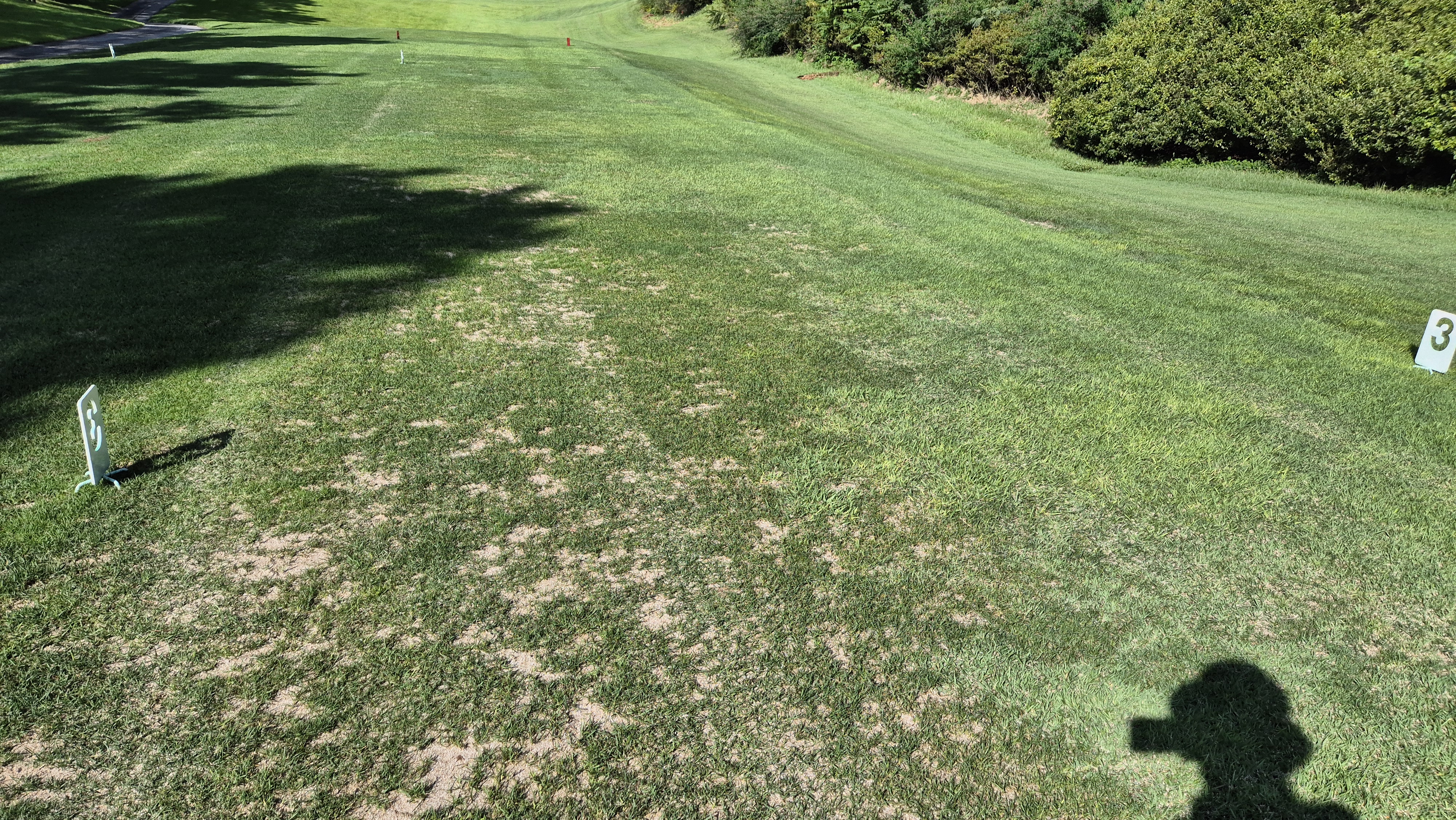 골프존카운티 천안 라운드 후기