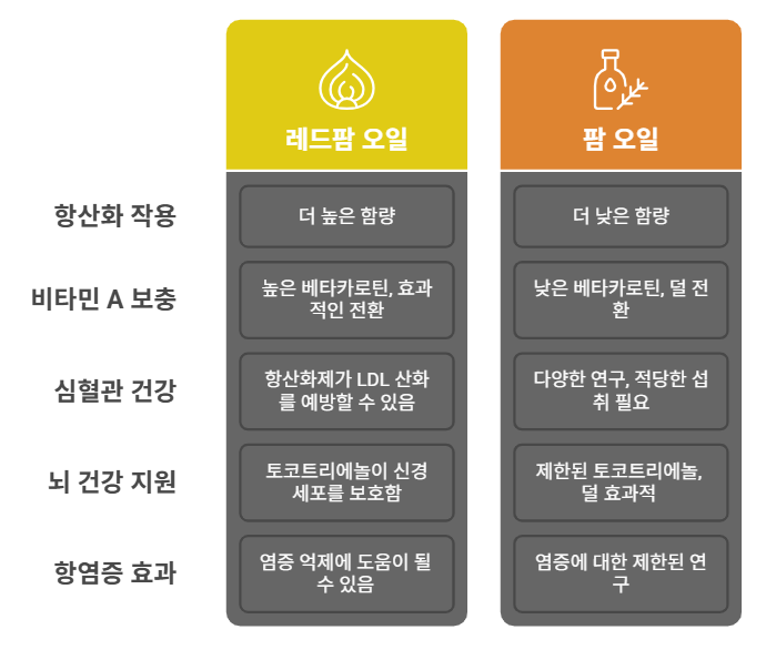 레드팜 오일과 일반 팜오일 비교