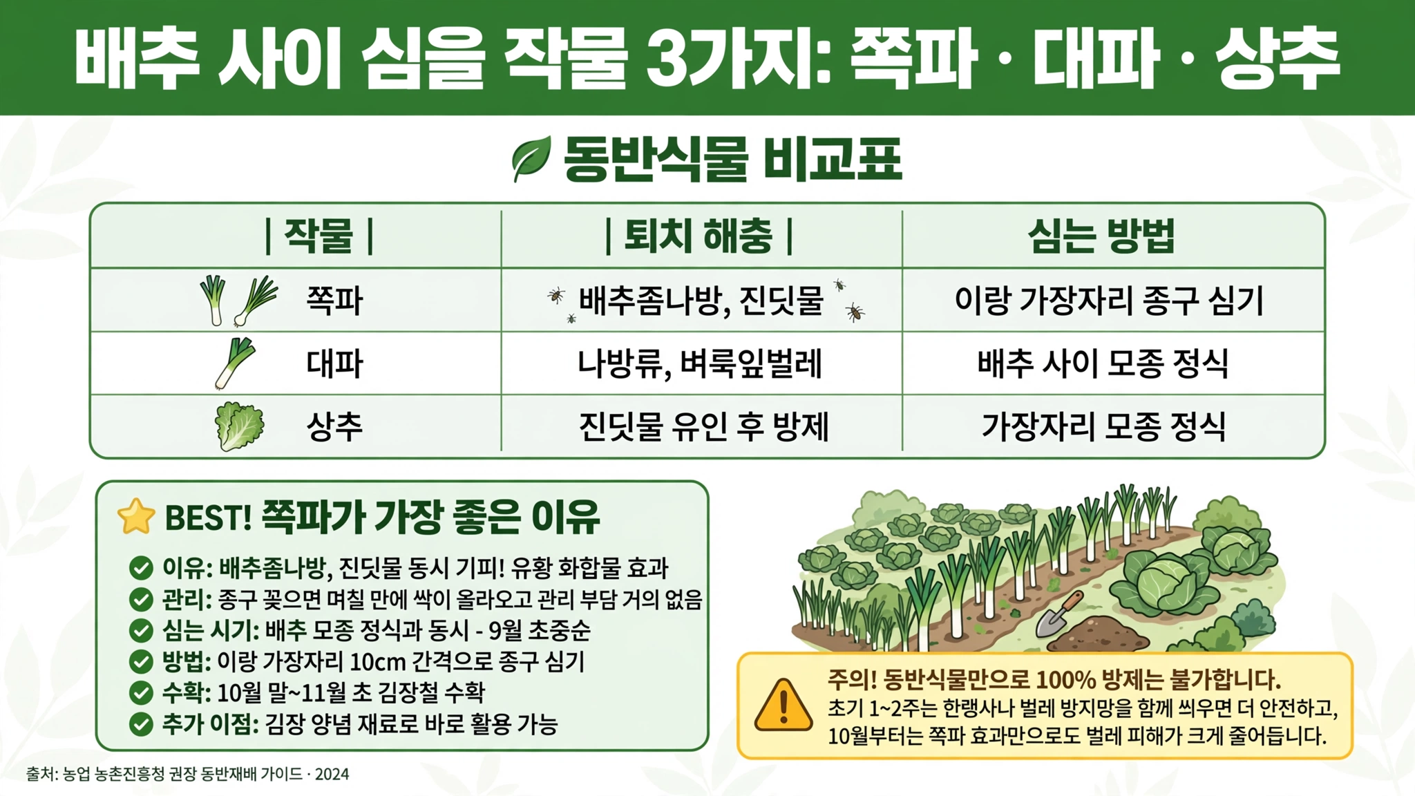 가을 배추 모종 심기 배추 사이 작물 쪽파 배추좀나방 진딧물 이랑 가장자리 종구 대파 나방 벼룩잎벌레 사이 모종 상추 진딧물 유인 방제 가장 효과 쪽파 유황 화합물 9월 초중순 10cm 간격