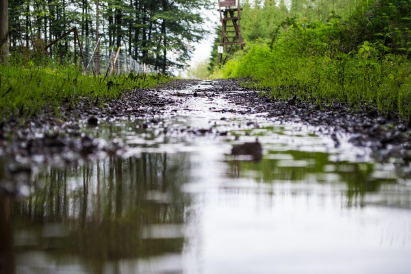 비 오는 날 걷는 산책길, 빗방울 속 작은 위로