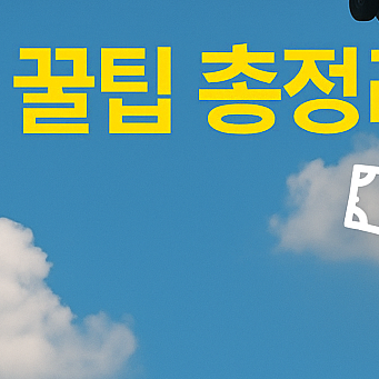 비행기표 항공권