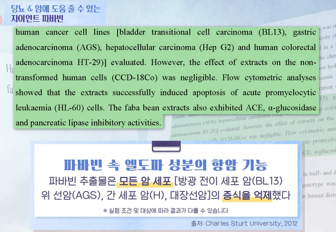 자이언트 파바빈
