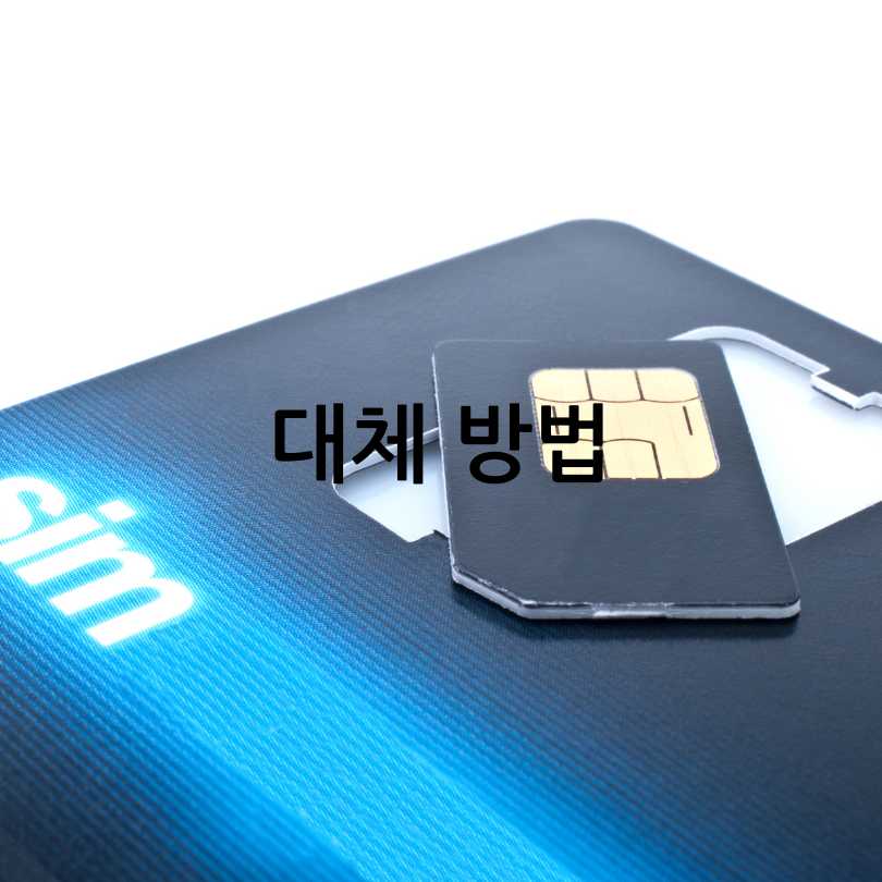 SK유심보호서비스&amp;#44; 해외 로밍