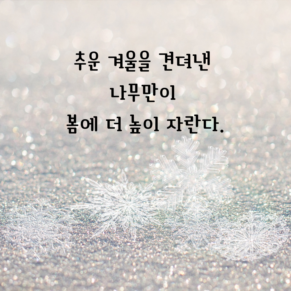 겨울 좋은 글귀 겨울 명언 문구 이미지