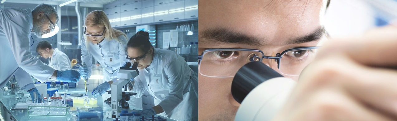 셀라니스-사업부문