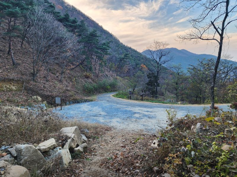 경산 치유의숲