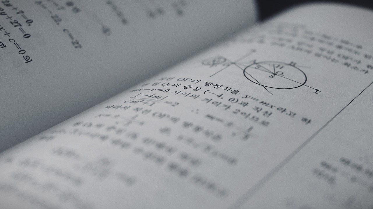2025 수능 만점자 의대