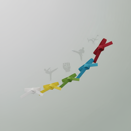 흰띠부터 유색띠까지&amp;#44; 태권도 승급 체계의 모든 것