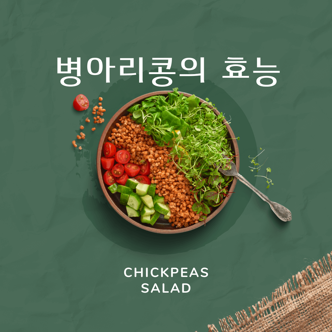 고소하고 단백질이 풍부한 병아리콩 효능 주의할 점 삶는 법 맛있게 먹는 법