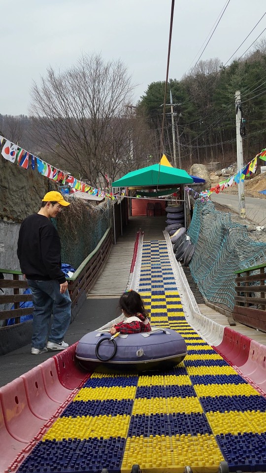 사계절 썰매 타는 모습