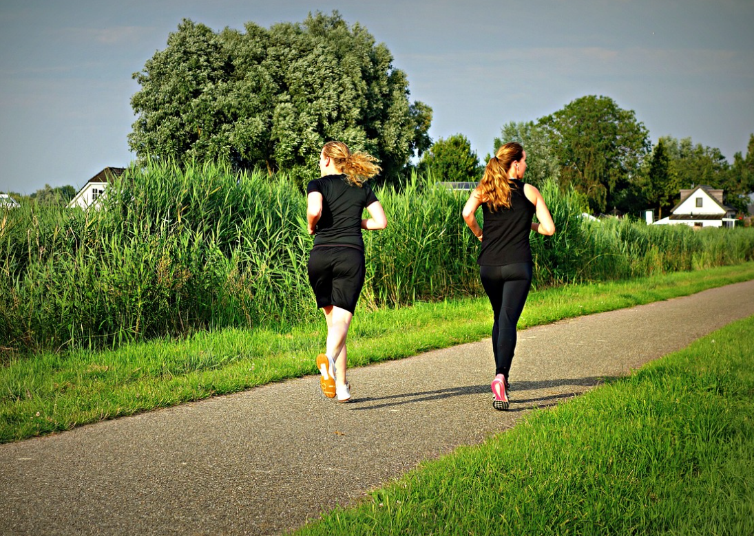 좋은 콜레스테롤과 나쁜 콜레스테롤