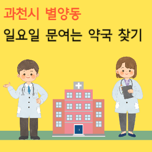 과천시 별양동 일요일 문여는 약국 찾기