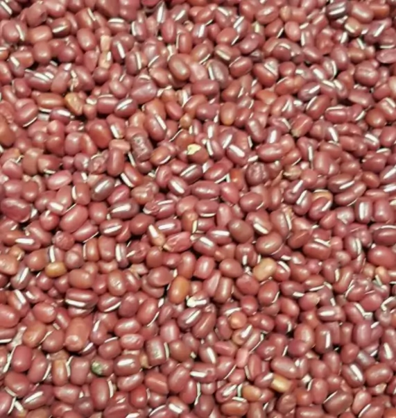 오곡밥 재료 - 붉은 팥