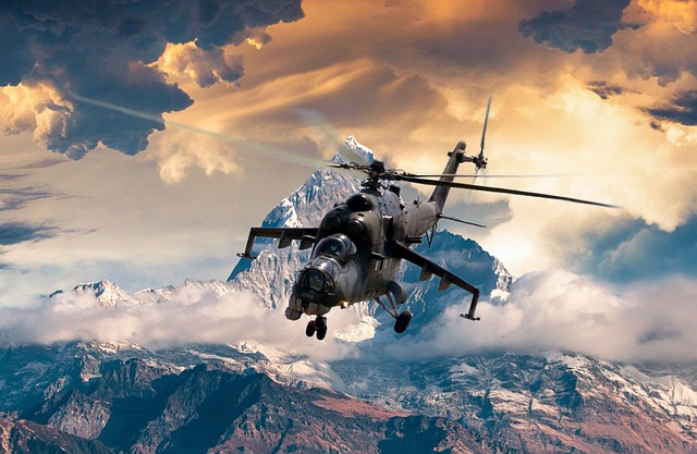 육군 해군 공군