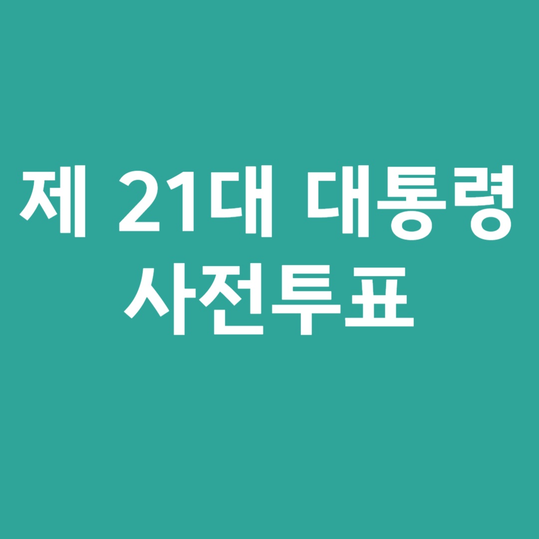 투표