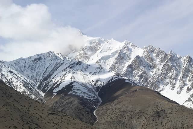 폐기물 기반 건축(Waste-Based Architecture)
